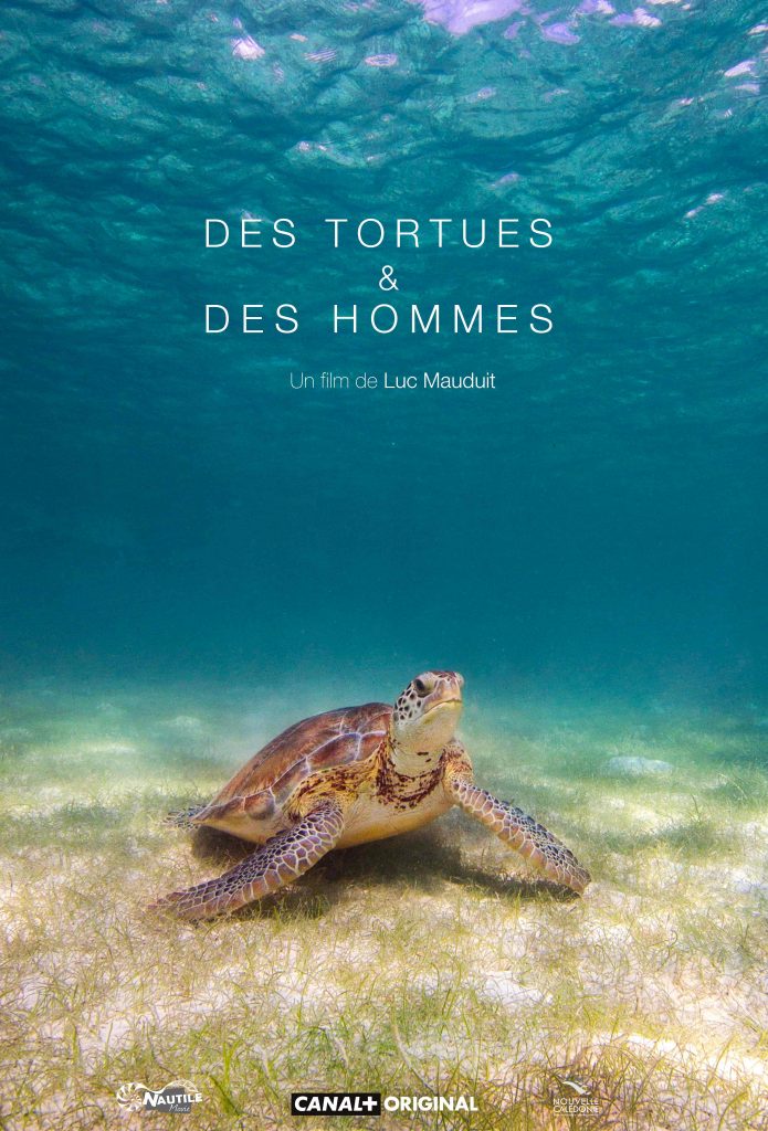 Des tortues et des hommes